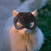 Bat Cat Avenger Face Cushion Halloween Cat Bat Cosplay Hat 3D Printed Cat Dress-up Prop Pet Costume Accessory for Parties