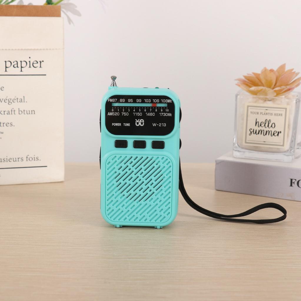 Mini Portable Pointer FM AM Radio LED Flashlight Stable Signal DSP Radios Rechargeable Bluetooth Speaker Earphones Listening Ra