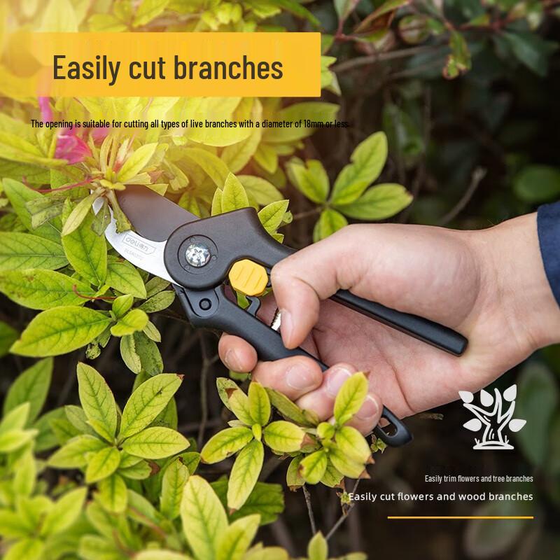 Deli Garden Pruning Shears DL580202