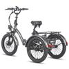 Electric Cargo Bicycle Fafrees 20" F20 Mate 250W Motor Foldable E-Bike Top Speed 25km/h LCD Display 48V 20Ah Dual Hydraulic Brake Max Load 180Kg