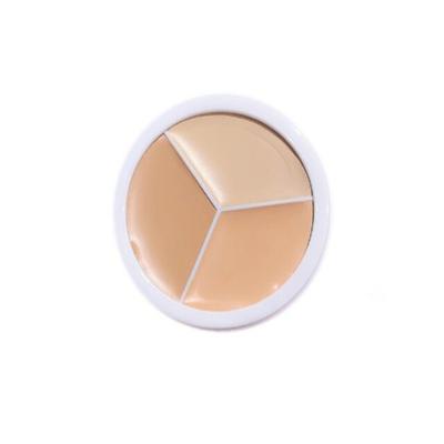 Shezi Gesichts- und Körper-UV-Schutz, aufhellendes SPF30-Make-up-Set mit Concealer und Highlighter, Basis, Make-up-Set, wie abgebildet, 1 Stück