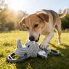 Giocattolo per Animali a Forma di Rinoceronte Resistente al Morso Peluche Giocattolo da Masticare per Cani con Suono Integrato Morbido Interattivo Giocattolo per Alleviare lo Stress