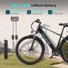 PURE UNICORN U3 Electric Bike 750W Motor 48V12.8Ah Battery 29 Inch Tires 45km/h Max Speed 60km Max Range Shimano 7-speed