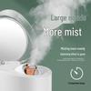 MKS Nano Hot & Cold Dual Spray Facial Steamer