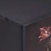 Storage Cabinet Multicolored 40 X 33.5 X 75 Cm Solid Mango Wood