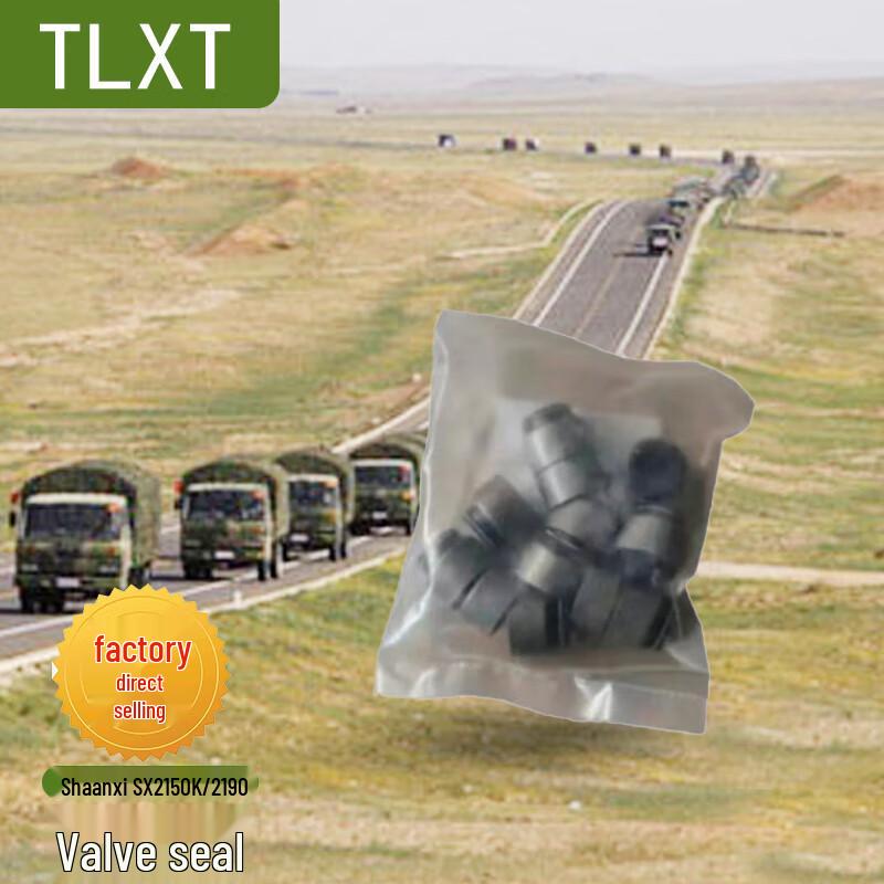 TLXT Shaanxi Auto SX2150K/2190 Valve Seat Oil Seal
