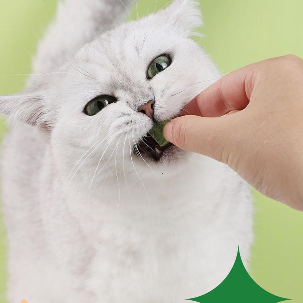 Natural Cat Grass Snack for Cats Dental Healthy Cat Care Chewing Licking Snack Cat Hairball Control Freeze Dried Snack