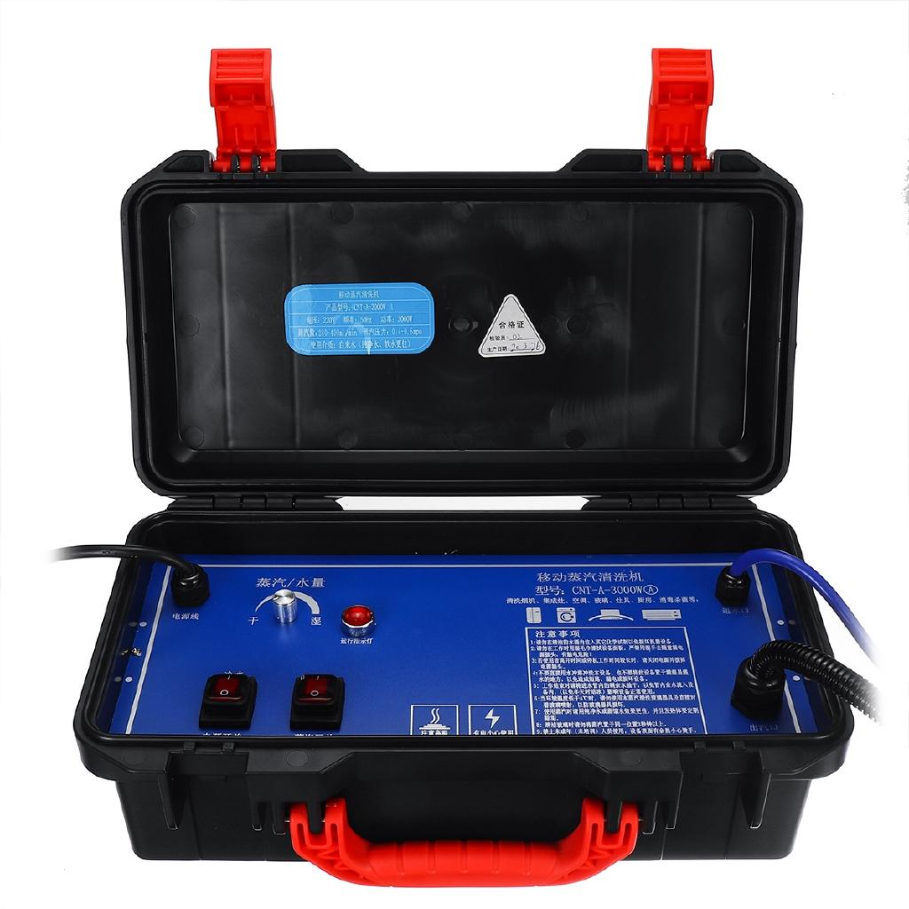 2600W 220v Sterilizer for Kitchen Home Car Steam Generator High Temperature Steam Sterilizer