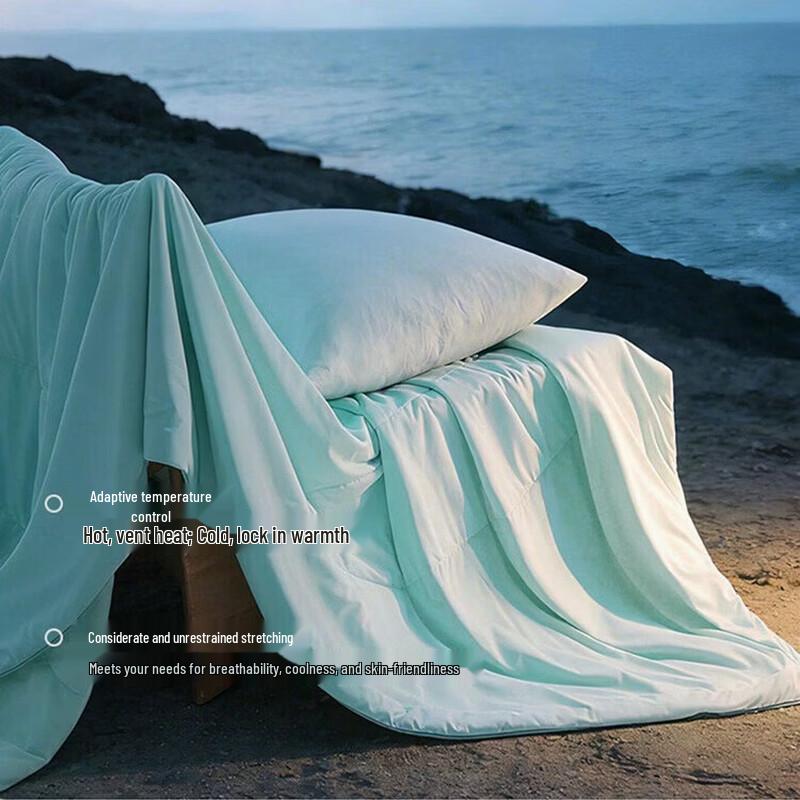 Muji A-Class Cooling Ice Silk Summer Quilt Pro 2.0