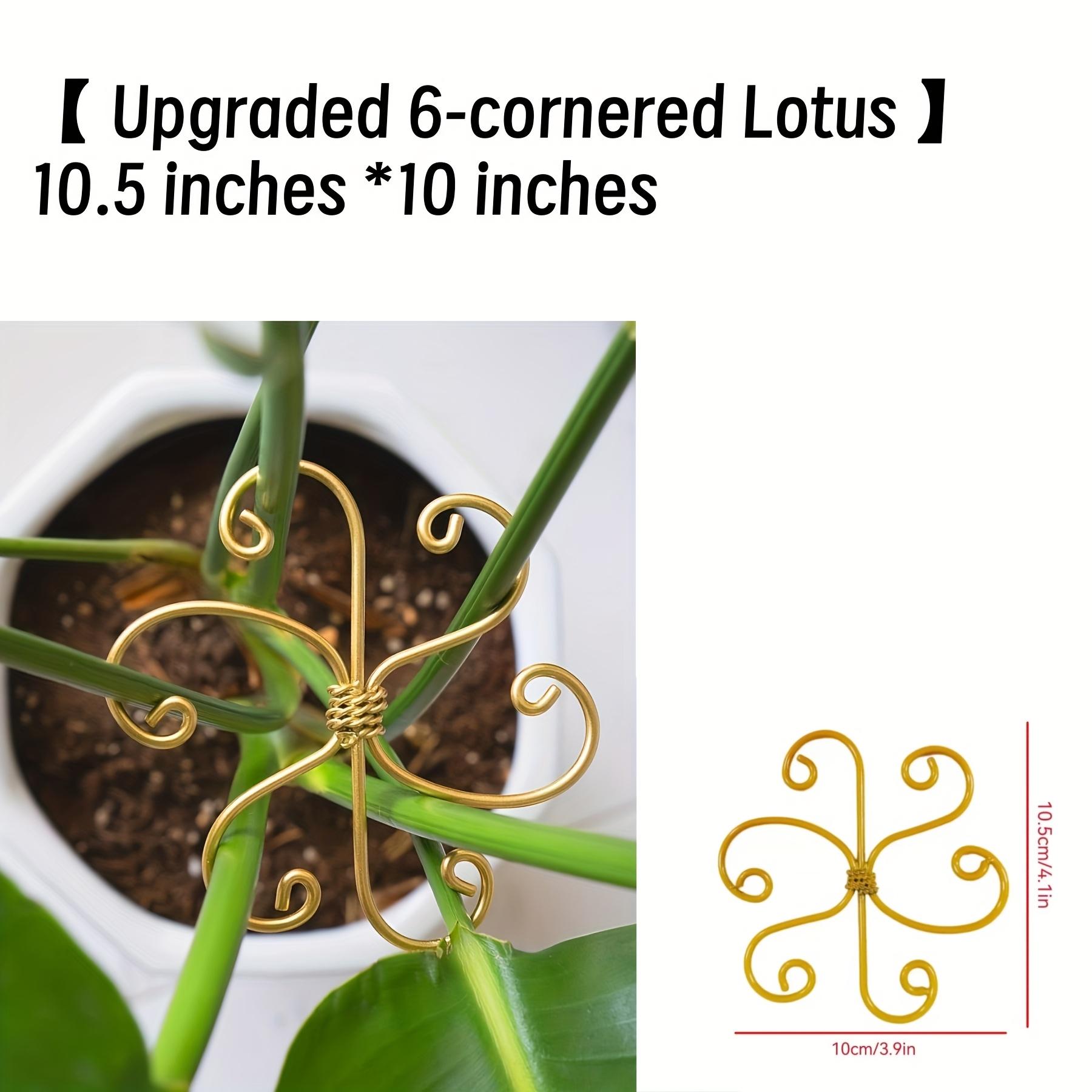 

Поддержка стеблей растений - Прочный стабилизатор для монстеры, уникально разработанный для вьющихся растений, набор бамбуковых клипс в форме черепашьего панциря 26.67 cm * 25.4 cm