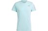 T-Shirt Herren Hellgrün IM2534