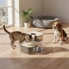 Automatic Pet Fountain Angled-Flow Design Automatic Pet Water Fountain