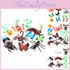 Realistic Insect Animal Model Set Of Eight With Six Butterfly Figures And Bugs