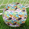 Pokémon Theme Size 5 Soccer Ball, Suitable for Both Indoor and Outdoor Matches, a Gift Suitable for Everyone.