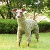 Whippet Italian Greyhound Clothing Fleece Jammies Coat Autumn Winter Warm Plush Turtleneck Jacket Pet Dog Clothes Fashion Jumper