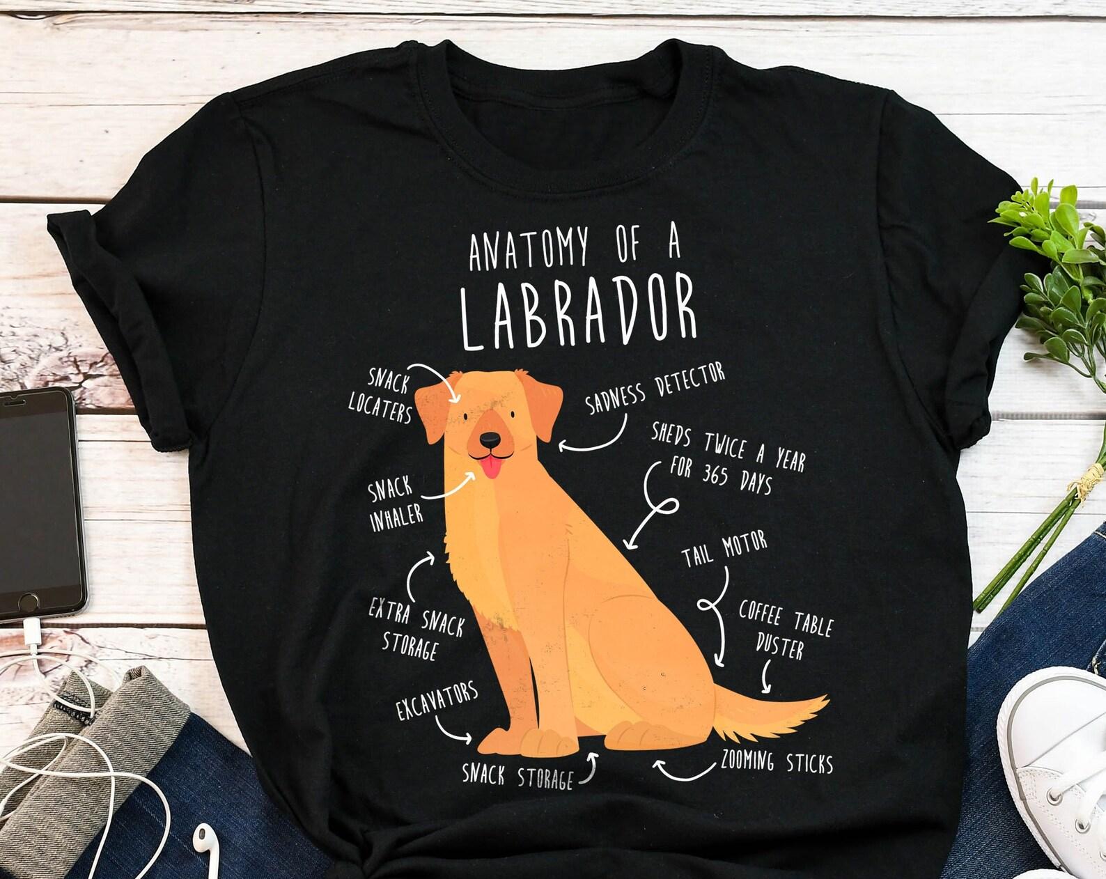 Yellow Labrador Retriever Shirt, , , Funny Dog Lover Gift, Cute Yellow Lab Mom Dad T-shirt, Dog Tshirt, Pet Tee, Dog Anatomy Humor 100