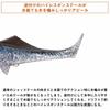 Daiwa Morethan Sail Upper 165F Lure for Falling Ayu
