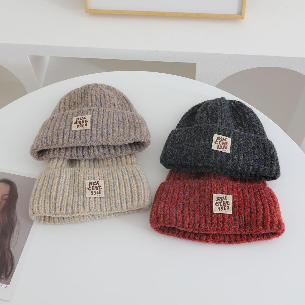 Letter labeled Knitted Hat for Women's Autumn and Winter New Collection Warm Thickened Cold Hat That Looks Good on The Face Small Ear Protection