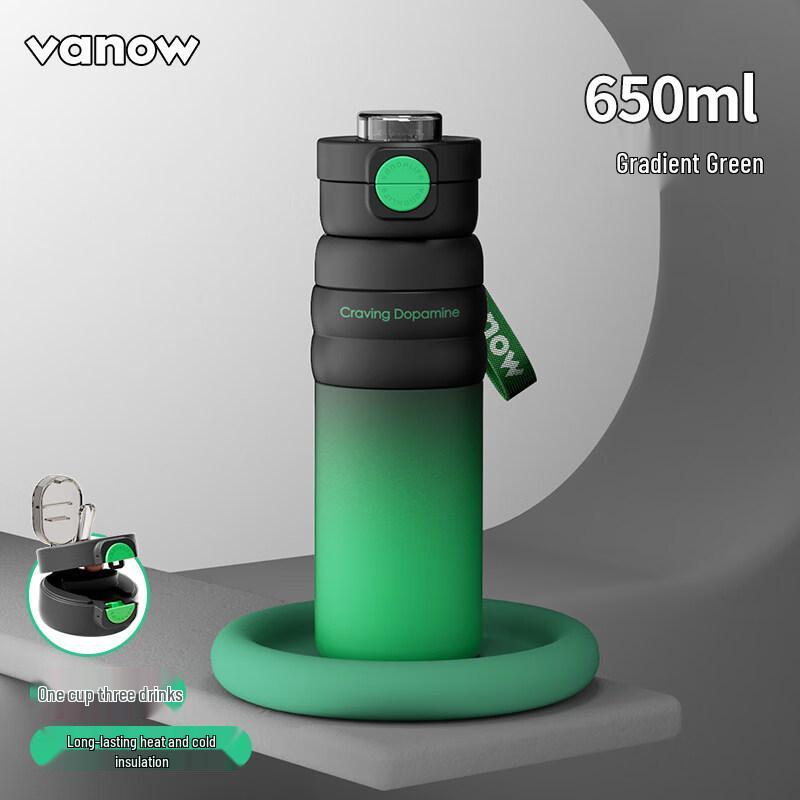 Vanow Insulated Stainless Steel Straw Water Bottle
