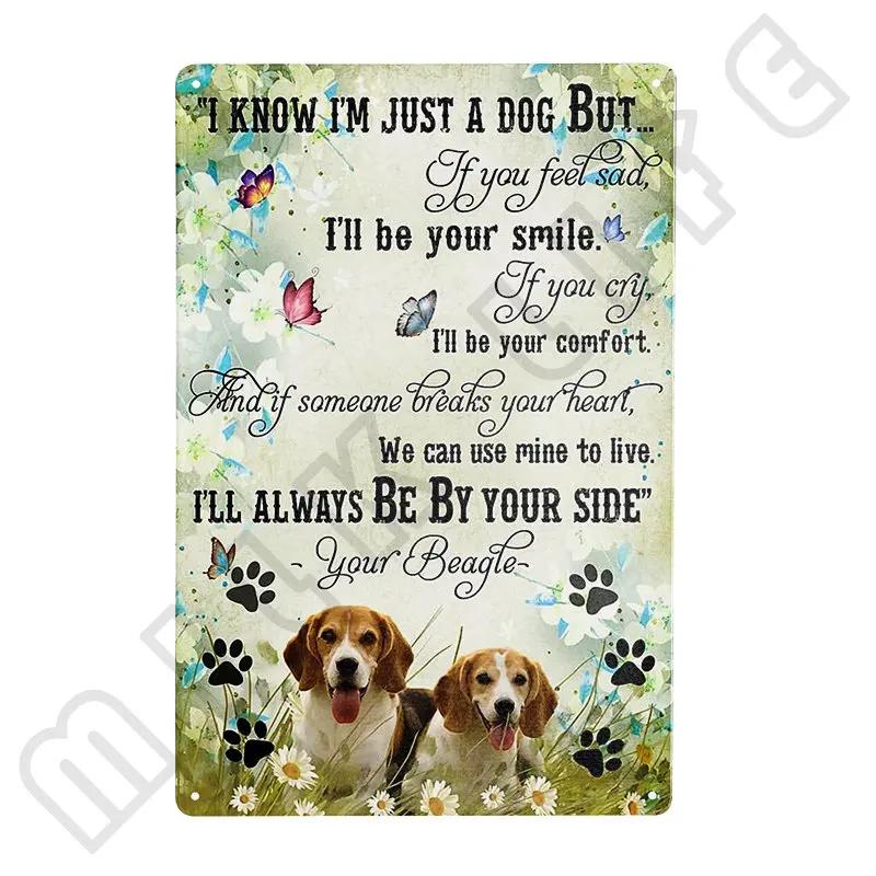 Funny Beagle Dog Metal Tin Sign Plate Retro Art for Bathroom Kitchen Restaurant Dessert Shop Pet Shop Farmhouse Home Room Decor