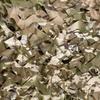 Winter Camouflage Shade Net