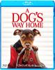 Wonderful Home DVD Set Bella's Blu-ray & [Blu-ray]