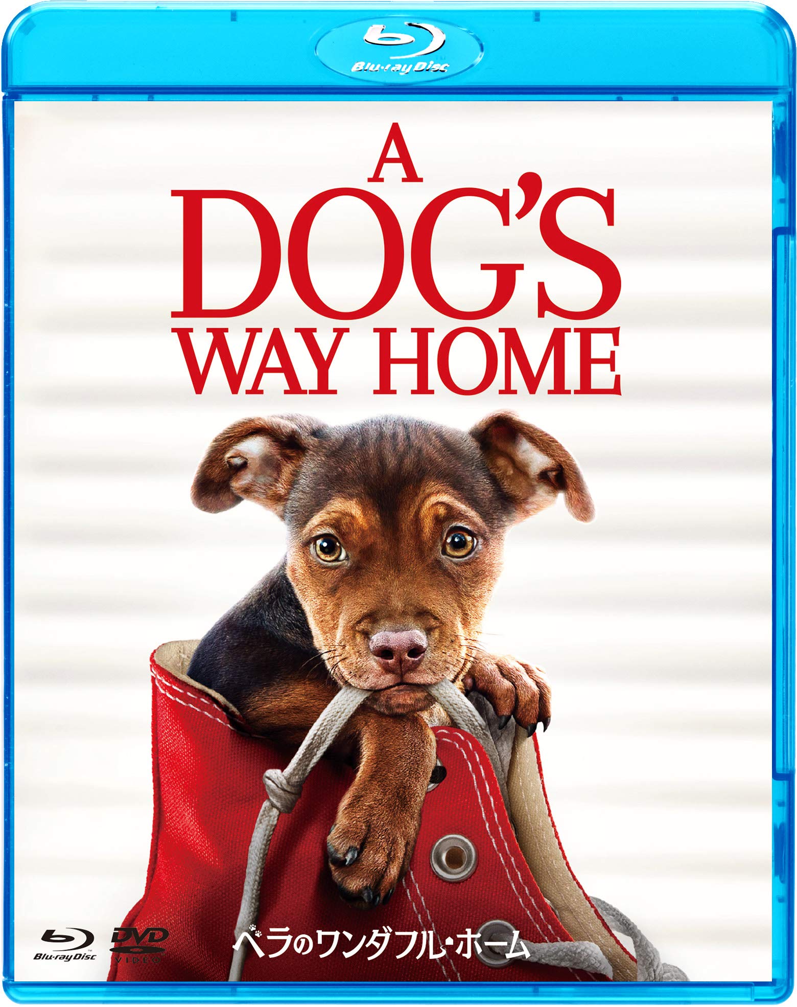 

Wonderful Home DVD Set Bella s Blu-ray & [Blu-ray]