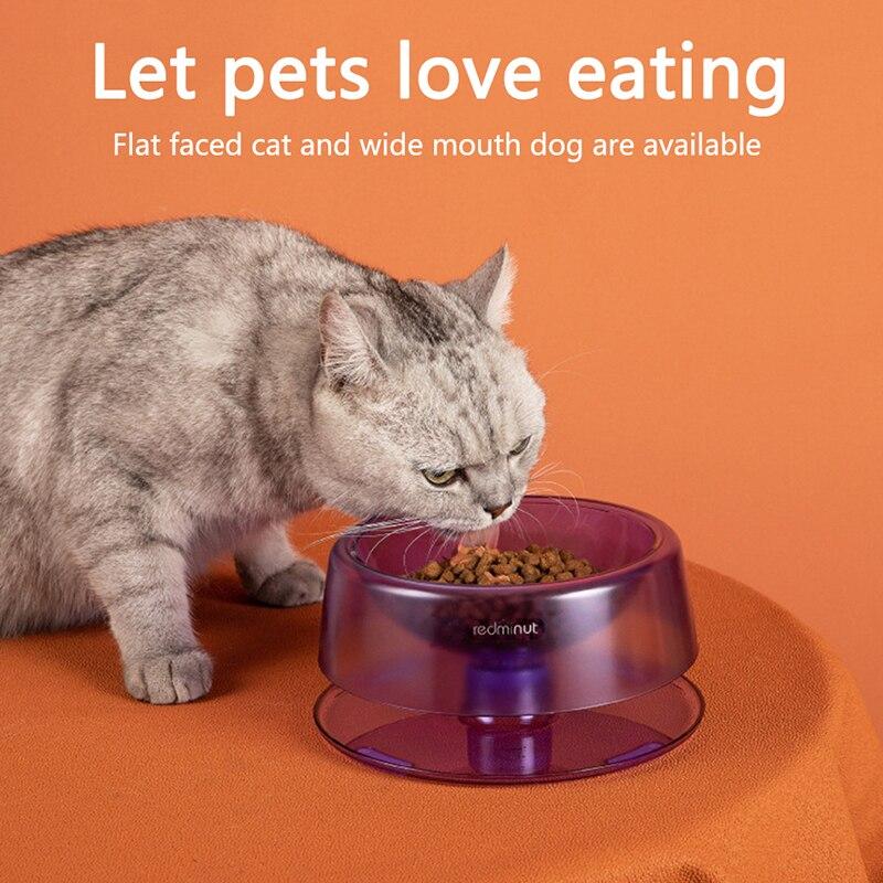 Buy Cat Food Bowls Pets Bowl Can Protect The Cervical Spine And Prevent