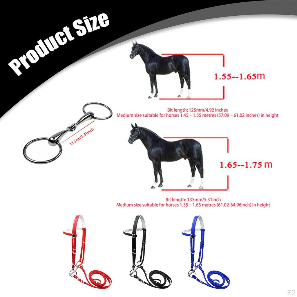 Horse Bridle with Rein Halter Versatile Stainless Steel Bit Headstall Riding Rope for Club