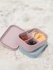 Silicone Food Storage Box With Lids 3 Compartment School Children Lunch Box Free Silicone Bento Lunch Box