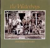 CD WATERBOYS Fishermans Blues VK41589 Chrysalis 1988 US Rock Used