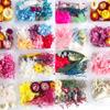 1 Box Anhänger Halskette gemischte echte getrocknete Blumen getrocknete Pflanzen DIY Zubehör Schmuckherstellung Handwerk