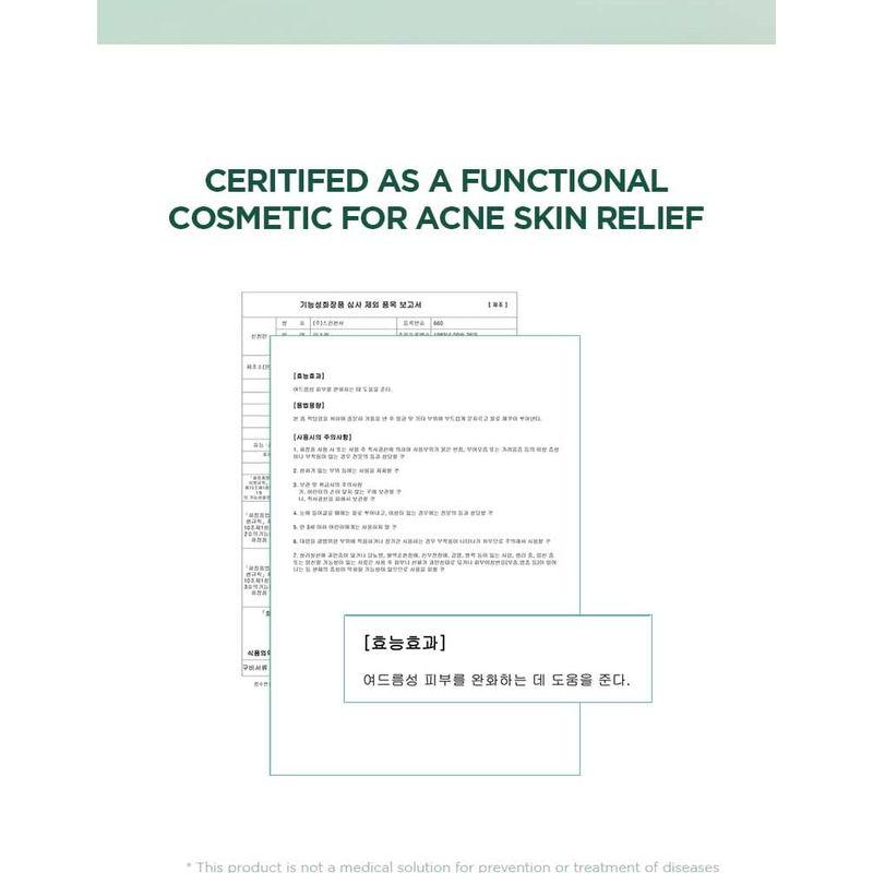 SKIN 1004 - Madagascar Centella Tea-trica BHA Foam