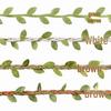 DIY Natural Leaf Vine Ribbon for Crafts and Decorations.