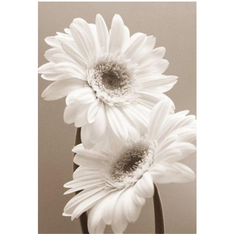 5D DIY Elmas Boyama Kaplan Mavi Gökyüzü Altında Elmas Nakış Çapraz Dikiş Kiti Tam Taklidi Mozaik Ev Dekor