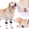 Pet Leg Hock Joint Wrap Support Aids In Healing Comfortable Compression Sleeve