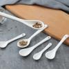 (25pcs) Porcelain Mini Coffee Spoon 8cm 10cm 12cm 13cm Spice Honey Spoons Ceramic Coffee Spoons