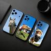 Funny Art Horse Animal   Phone Case For iPhone 17pro,16,15,14,13,12,11 Plus,Pro Max,XS,Soft Silicone Black Cover