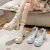Chunky Heel Platform Women's High Heels 2025 Korean Sweet Mary Jane Pumps Small Leather Shoes Bow Princess Style Lolita Heels