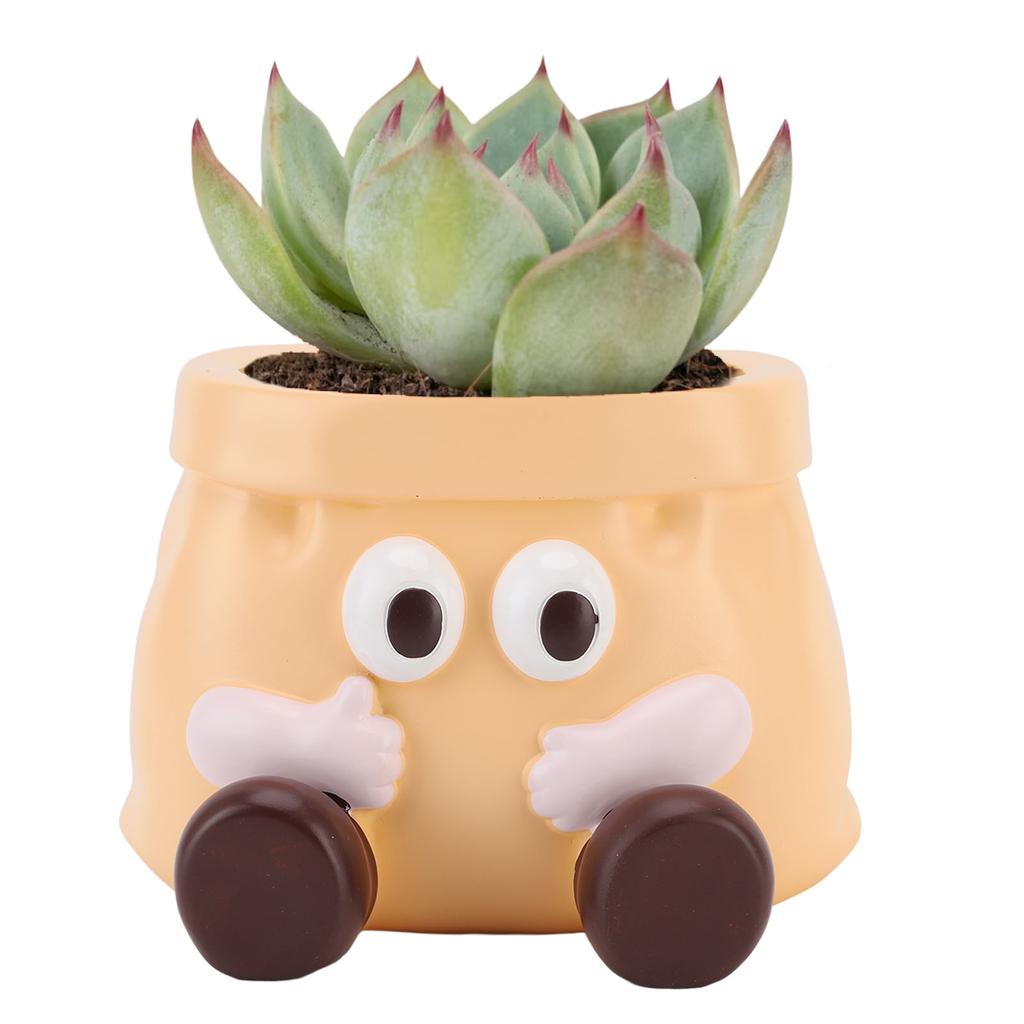 Pot Resin Cute Decorative Planter with Drainage for Ornament Entryway Key Storage