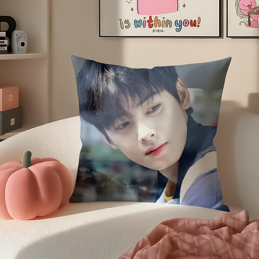 Handsome Kpop Idol CCha EEun Woo Cushion Cover Pillowcase Short Plush Invisible Zipper Room Sofa Cushion Cover