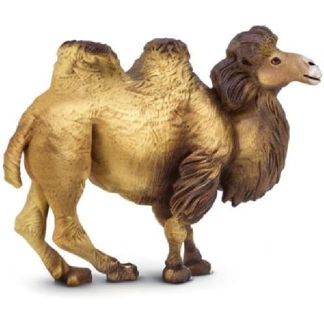 Safari Ltd. Bactrian Camel Figurine - Realistic 4.25" Wildlife Figure - Educational Toy for Boys, Girls, and Kids Ages 3+