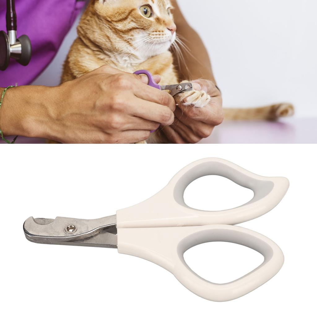 Tiernagelschere Professionelle Reinigung Schönheit Edelstahl Katzennagelschneider für Kleine Mittelgroße Große Katzen Haustiere
