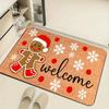 Teddy bear flannel floor mat, non-slip washable farmhouse style, suitable for indoor and outdoor use.