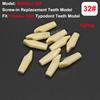 Fit Frasaco AG3 Typodont Dental Teeth Model Full teeth 32Pcs Screw-in Practice Filling Soft Gum Gingivae Teeth Training Teach