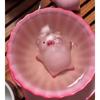 Ceramic Cartoon Ceramic Tea Cup 110/120/160/170ML Capacity Espresso Cup Funny Teacup Under Bottom Design Reusable