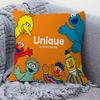 Cartoon S-Sesame-S-Street Pillow Cover Design Cushion Cover Decor Holiday Decorati