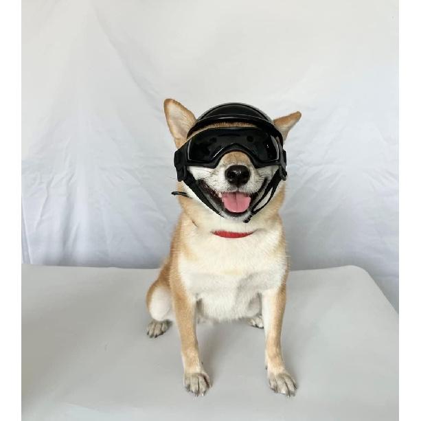 PETLESO Dog Goggles for Small Dogs with Helmet, 2pcs Dog Sunglasses and Dog Helmet Set for Small Medium Dog Outdoor Driving Walking, Black