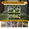 Bymaocar Terrariums pour Reptiles Acrylique Transparent 4 Compartiments Cage pour Reptiles Domestiques Grimpeurs Non Toxique Inodore Avec Thermomètre Pour Laboratoire/Maison