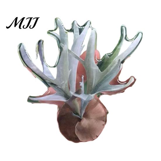 Plant Home Decor 3D Tropical Plants Refrigerator Magnet, Acrylic Green Decorative Fridge Metal Surface Magnet Memo Notes Photo Holder for Kitchen